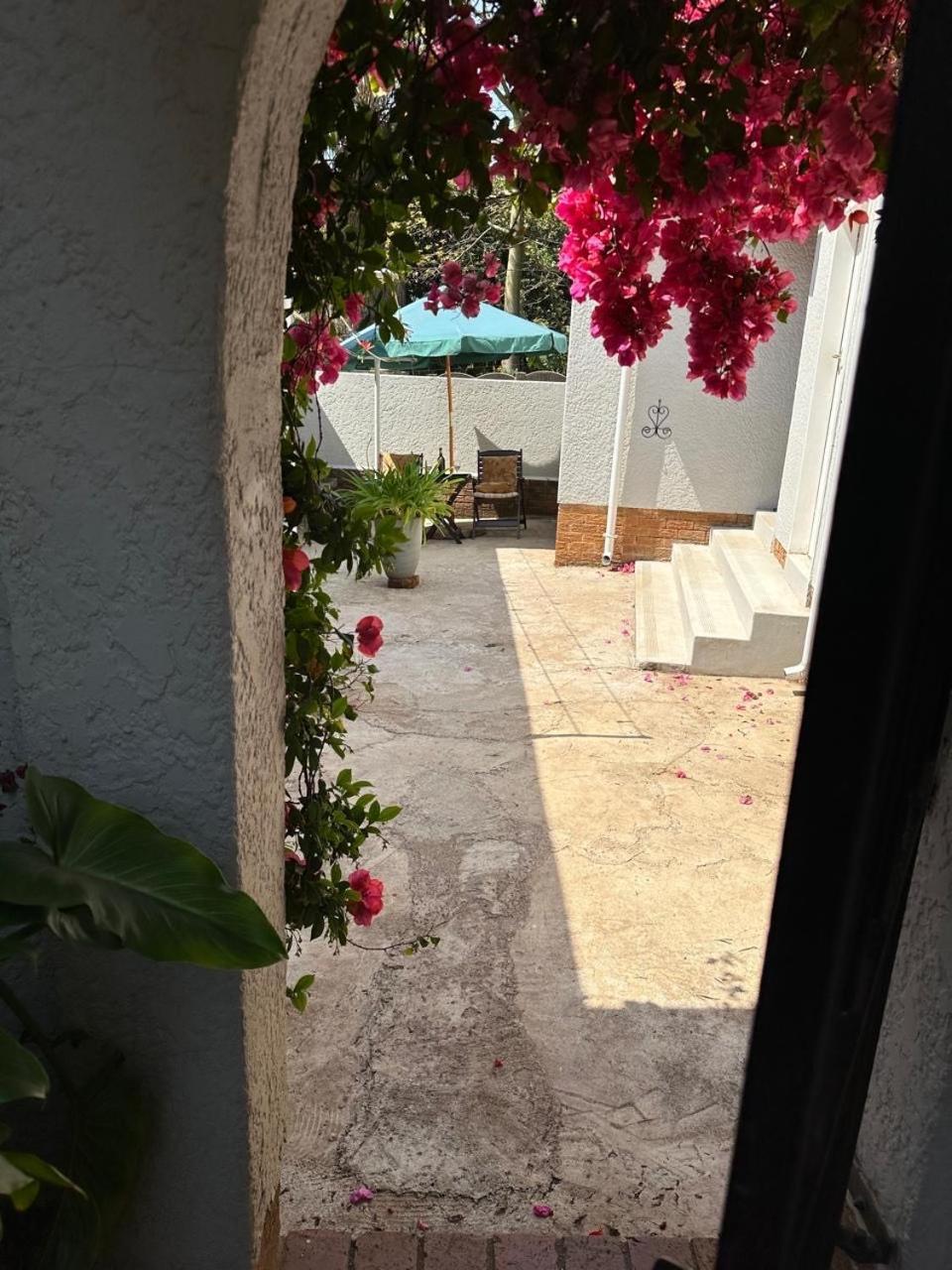 Bagley Terrace 136 Cottage Йоханесбург Екстериор снимка