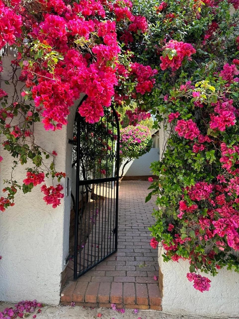 Bagley Terrace 136 Cottage Йоханесбург Екстериор снимка